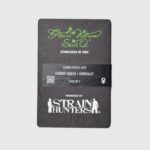 Exodus Cheese Auto - immagine 2