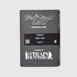 Ztrawberry (USA Genetics) Femminizzata - immagine 2