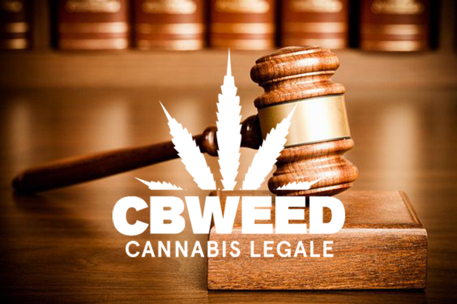 Qual'è il futuro legale del CBD? L'ONU ne discute!