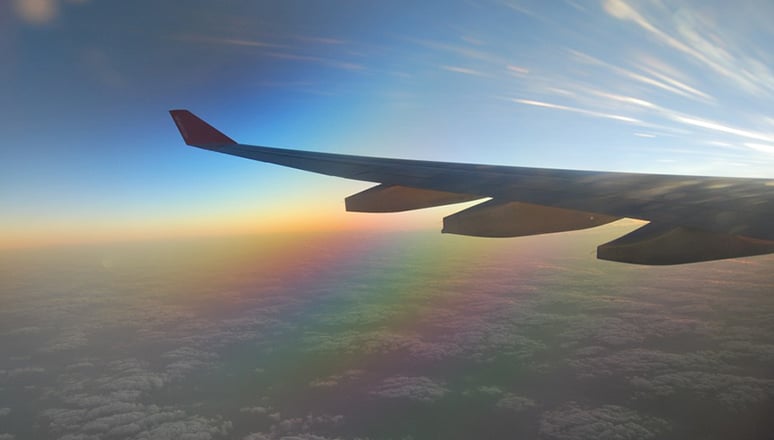 Viaggiare Aereo Cannabis Light Olio Cbd Legale Aeroporto