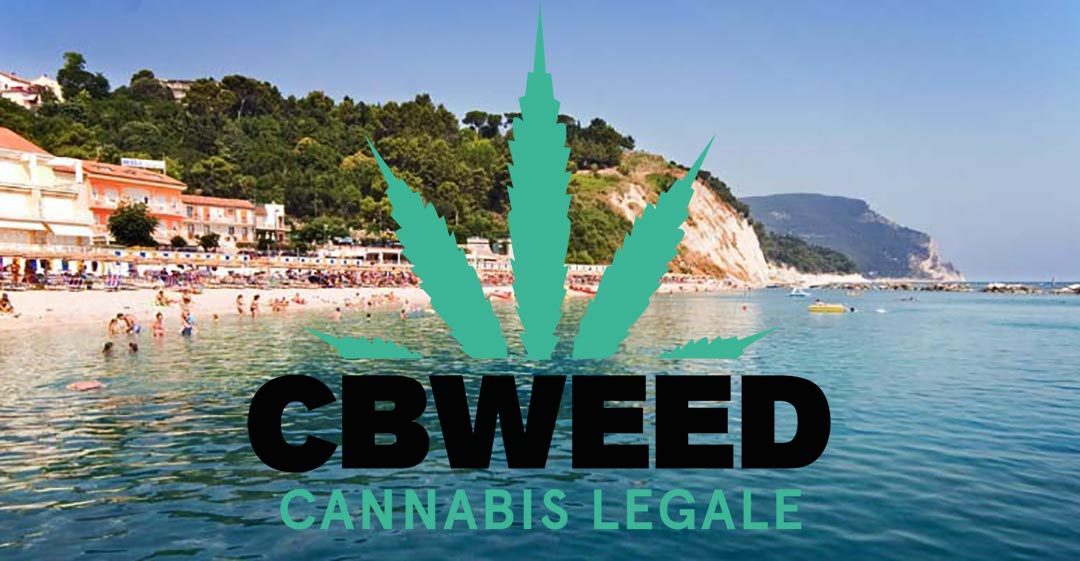 Negozio Cannabis Light Porto Recanati Chiuso Accusa Spaccio