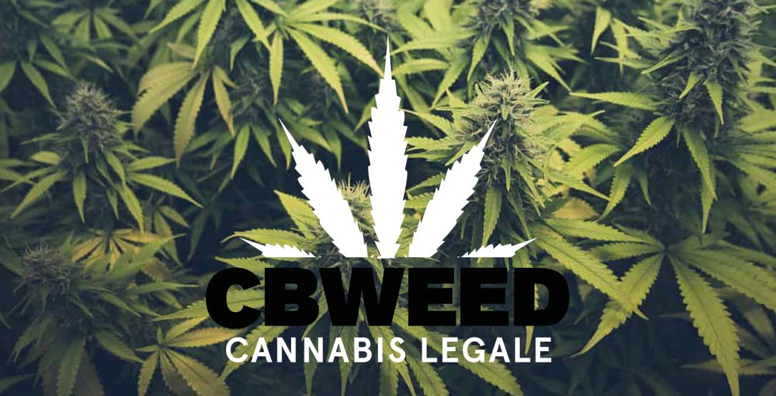 Utilizzi Canapa Industriale Ecosostenibile Versatile