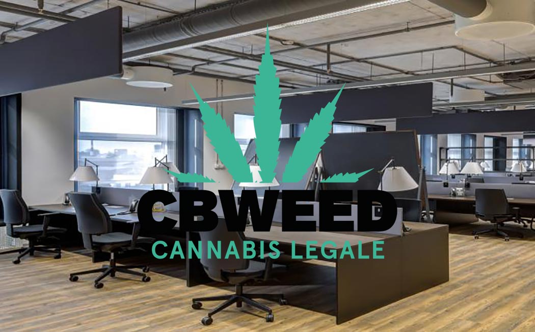 Come Cannabis Light e CBD migliorano le nostre prestazioni lavorative