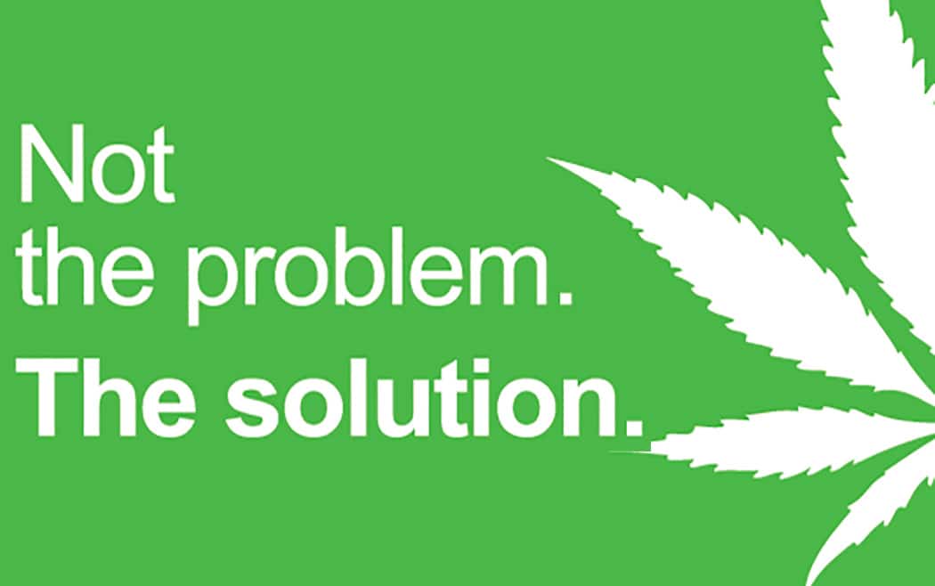 Cannabis Light Contro Spaccio Malavita