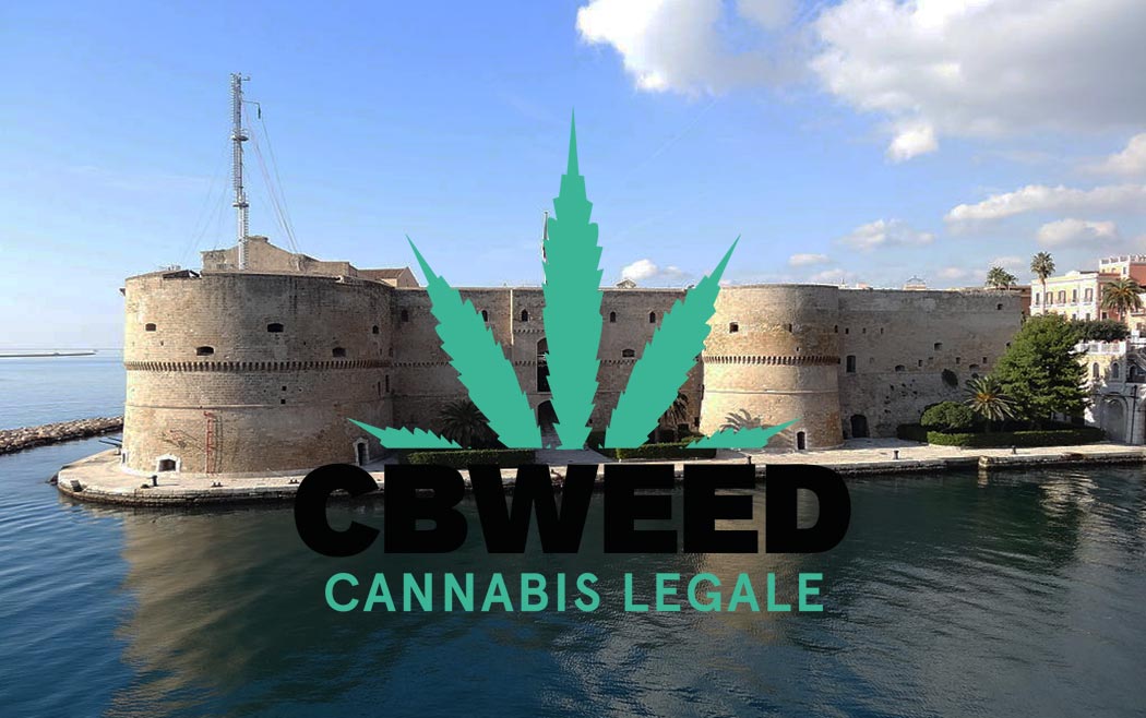 Maxi-Sequestro-Cannabis-Light-Taranto-Effetto-Valanga