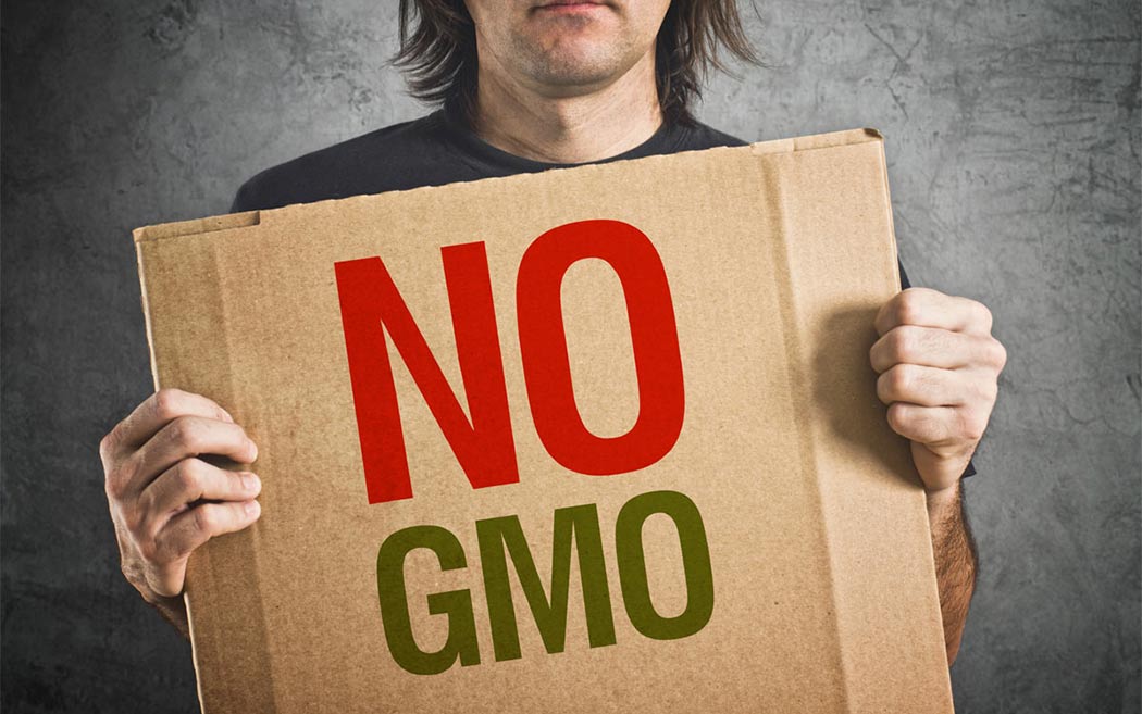 Monsanto Bayer Multinazionali Si Interessano Alla Cannabis