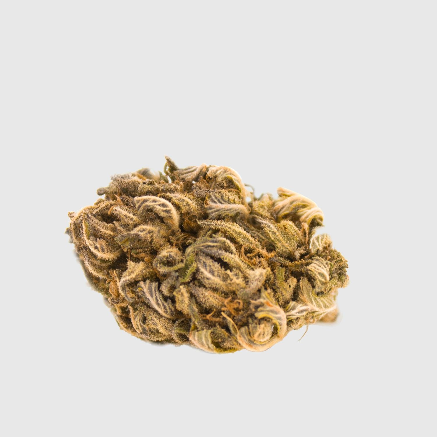 Cannabis Light GORILLA GLUE CBD – 1g EU