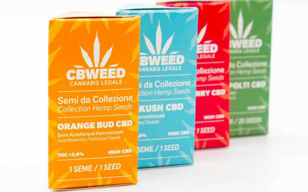 Semi Da Collezione Cosa Sono Utilizzo Legge