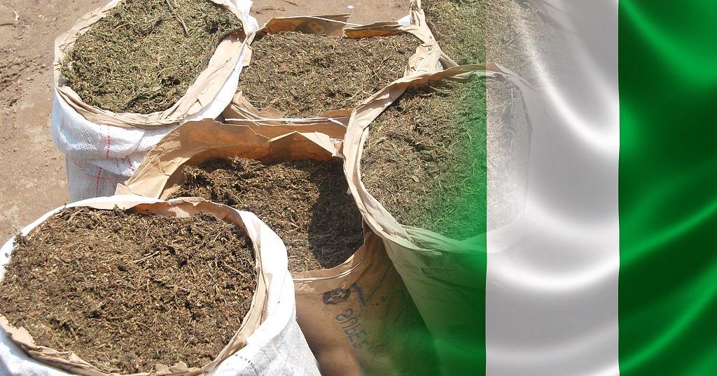 nigeria lotta legalizzazione cannabis medica