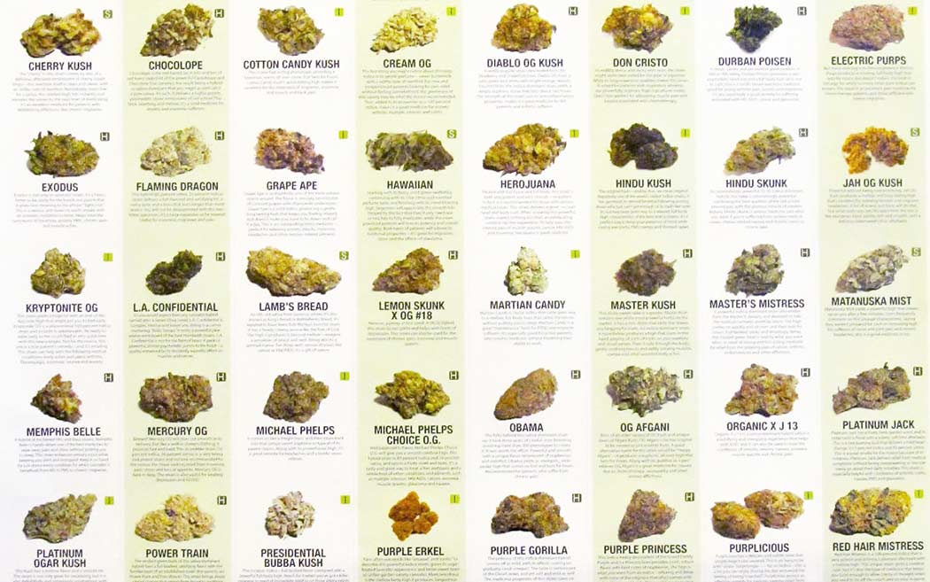 Genetiche Cannabis Famosa Storia Nomi Strani