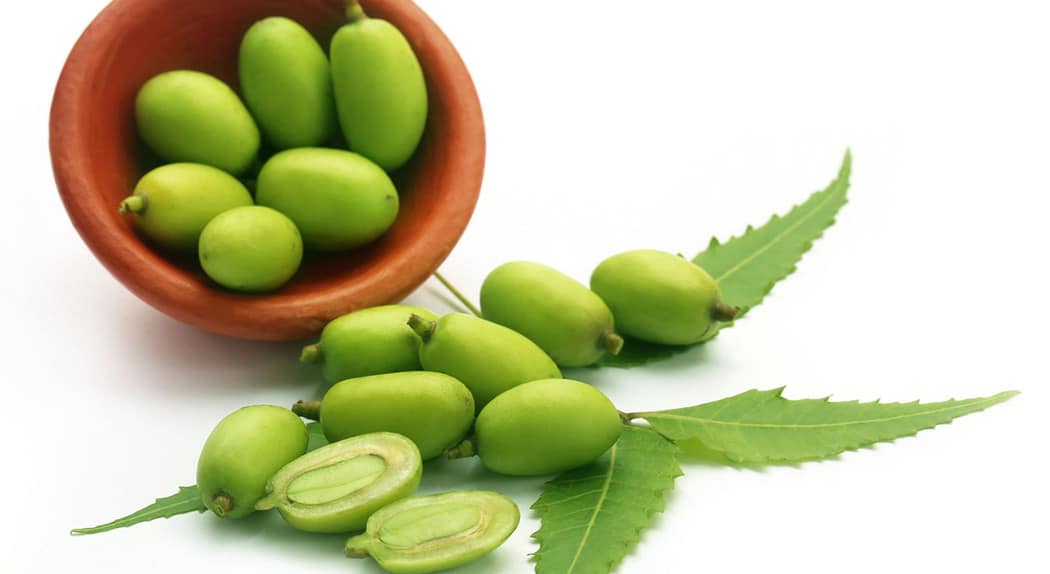 Olio Neem Antiparassitario Naturale Piante Cannabis