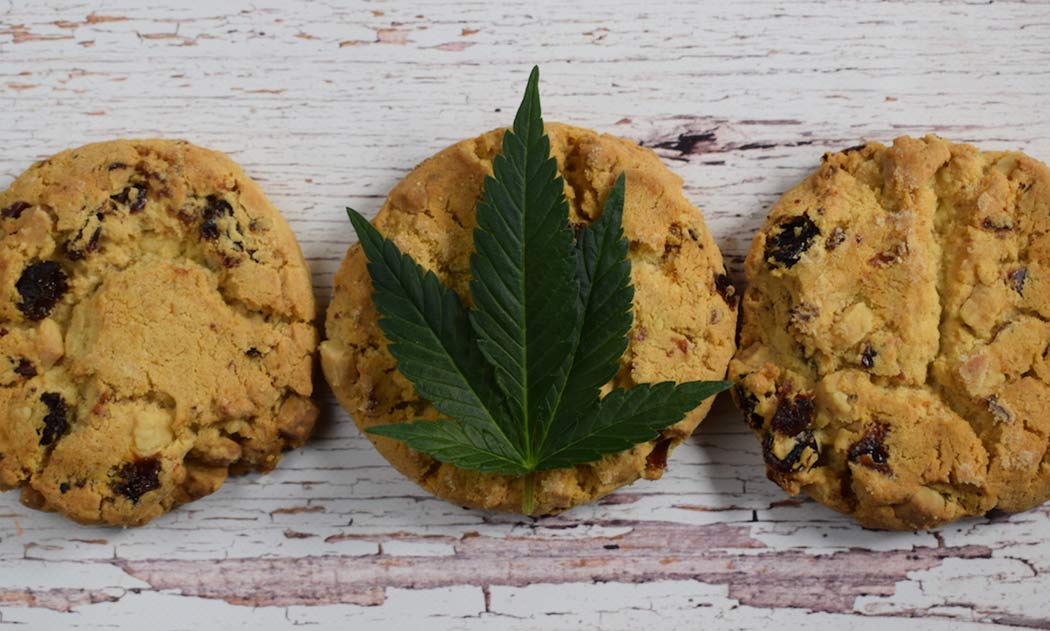 Ricetta-Biscotti-Marijuana-Segreto-Burro-Cannabis-Light