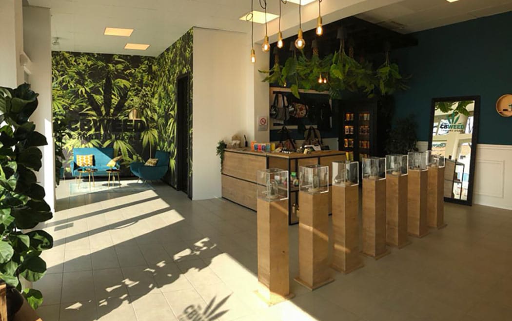 Consigli Come Aprire Negozio Cannabis Legale Norma Legge