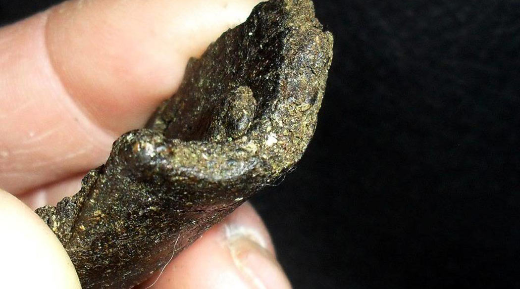 Cosa Sono Concentrati Cannabis Hashish Charas Kief