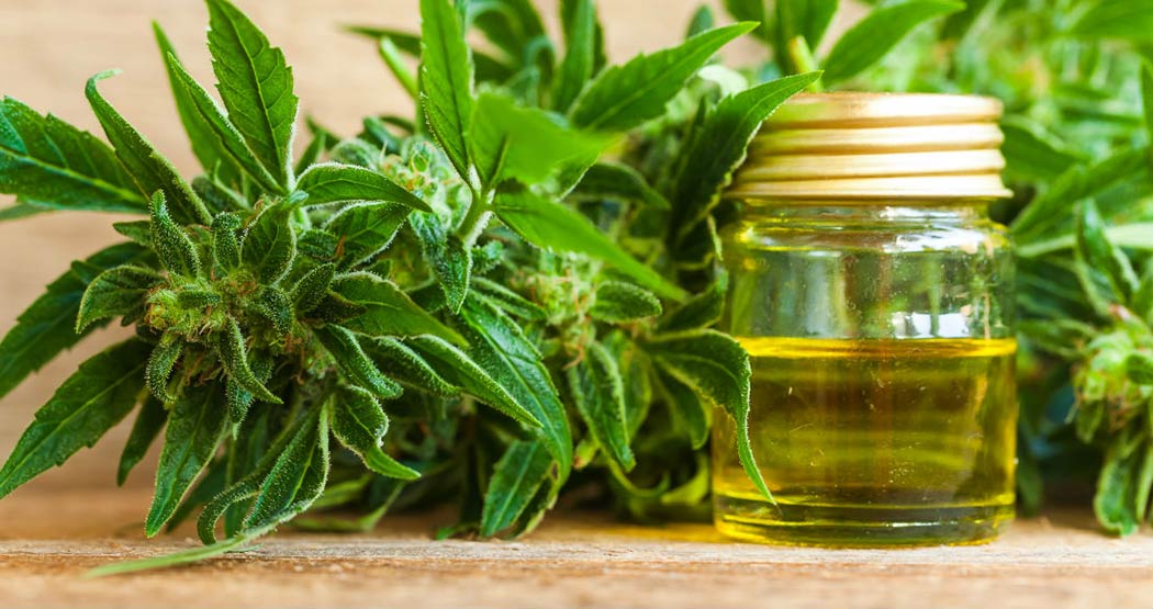 Utilizzo CBD Contro Morbo Parkinson Aiutare Gestione