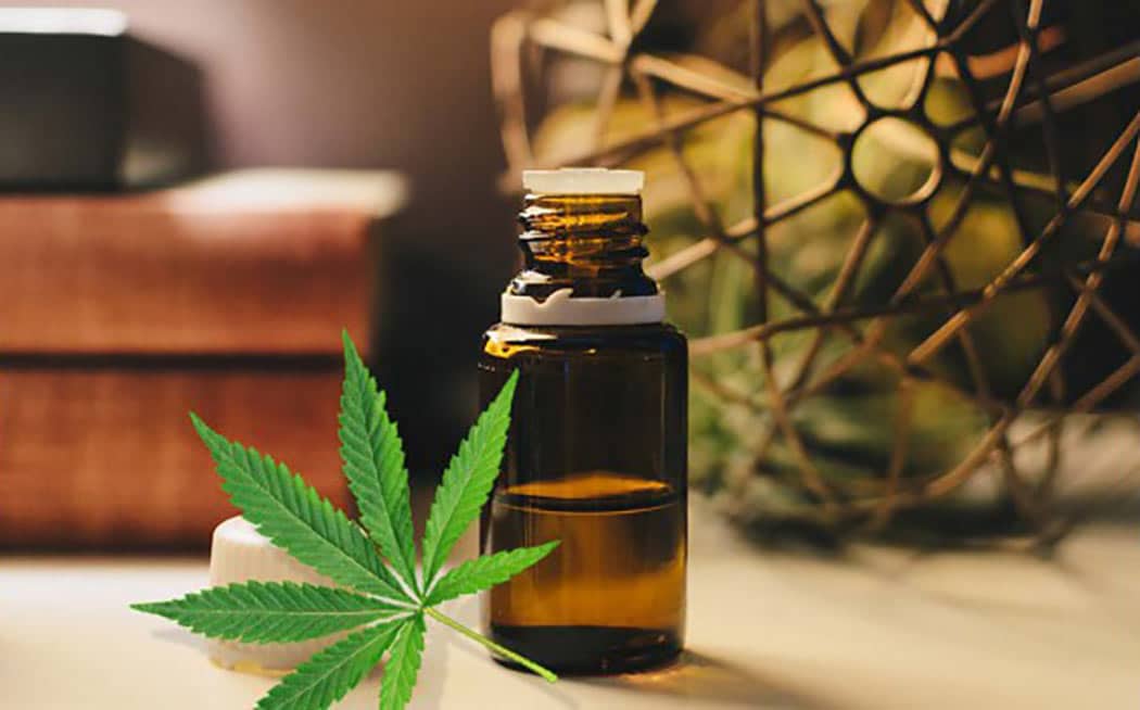 Tintura Cannabis Cosa Come Fara Casa Fai Da Te