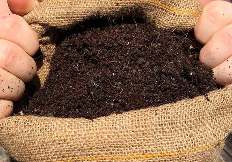 super-soil-blog-cbweed