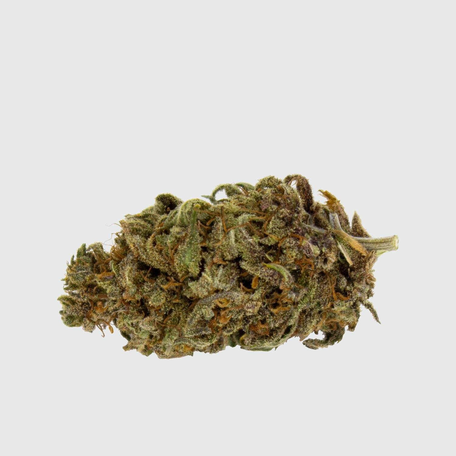 CBWEED-Green-House-Seed-Purple-Love-CBD