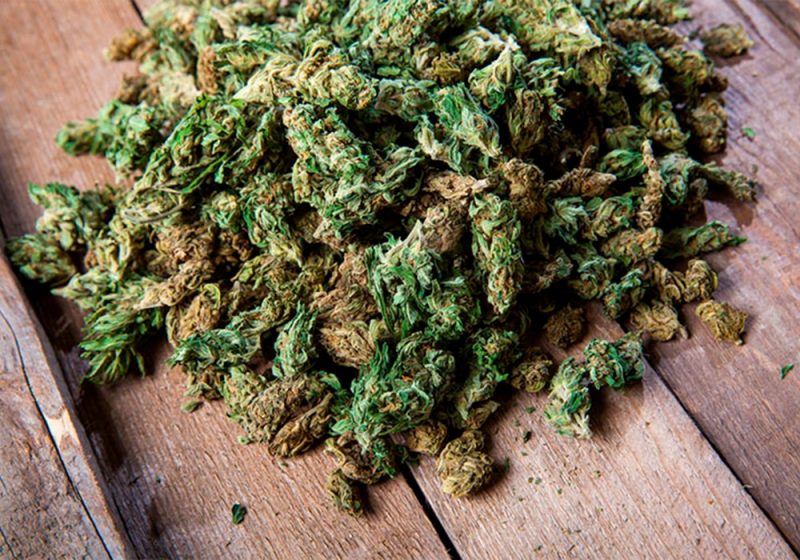 Come reidratare le infiorescenze di cannabis: scarti vegetali, humidor...
