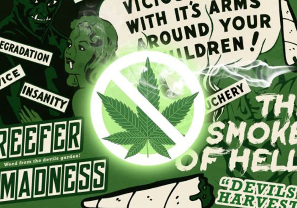 Overdose, intossicazione e morte da cannabis: verità o bufala?