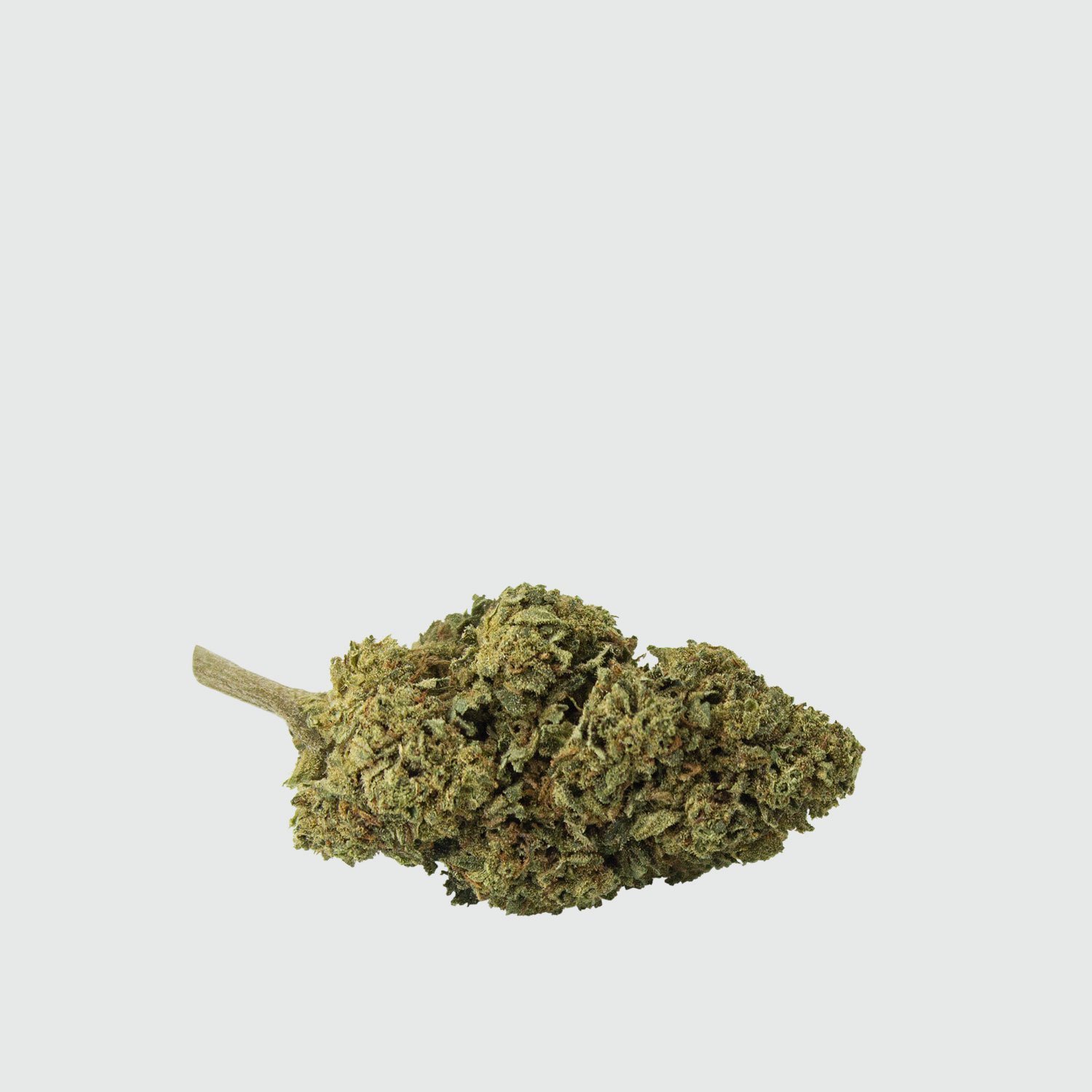 Cannabis-Light-Critical-Mass-CBD-EU