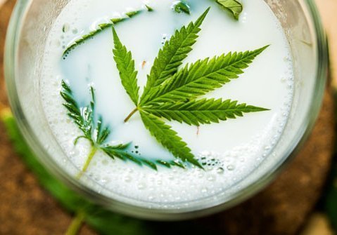 moon-milk-cbd-drink-sostiene-sistema-immunitario-sfiamma-concilia-sonno