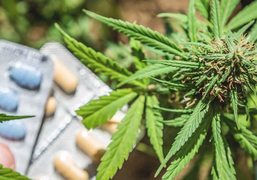 Cannabis e antidepressivi: qual è il reale rischio di interazione?