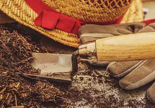 rivitalizzare-riutilizzare-terriccio-coltivazione-risparmiare