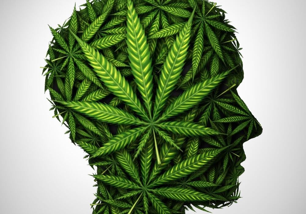 CBD per migliorare la memoria e la concentrazione in modo naturale